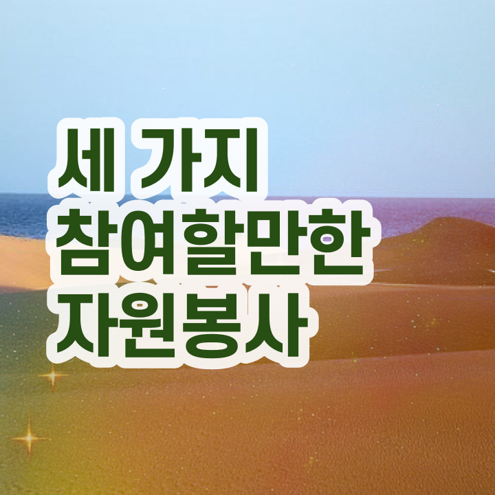  자원봉사 확인서 , 자원봉사지도사 자격증 1급,2급 동시에 취득한 과정 및 활용 방법