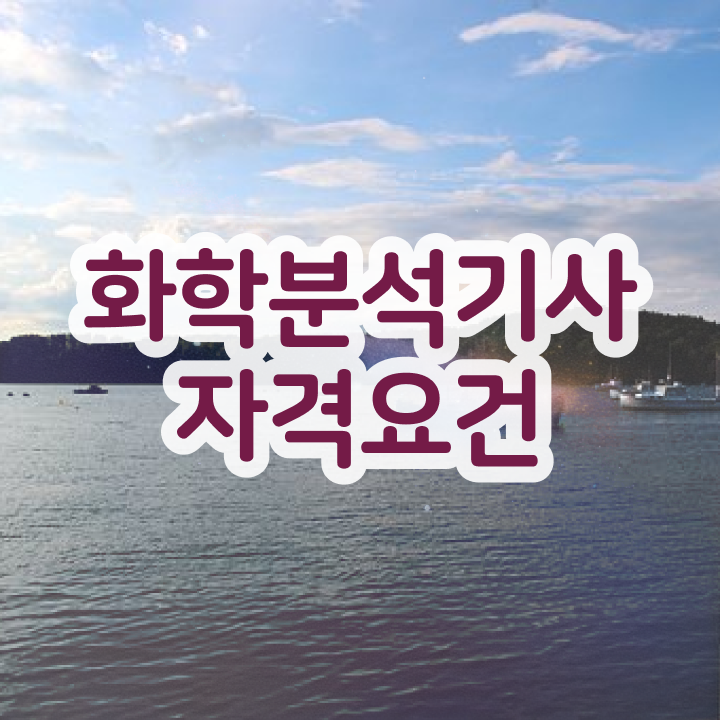  화학분석기사 책 화학분석기사 시험응시조건 집에서 온라인으로 15주만에 완료한 전략