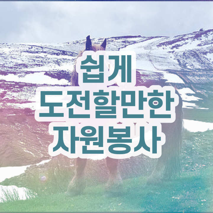  자원봉사지도사 필기공부방법 , 자원봉사지도사 자격증 2주 만에 합격한 후기 보고가세요