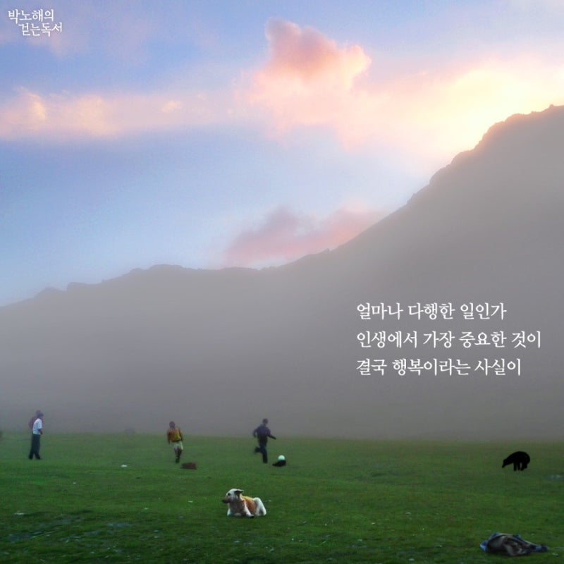 인생 명언을 재미있게 보내세요