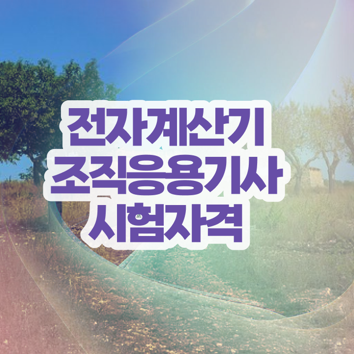  전자계산기조직응용기사 신청 전자계산기조직응용기사 취득자격 온라인 수업으로 단기간에 끝낸 팁