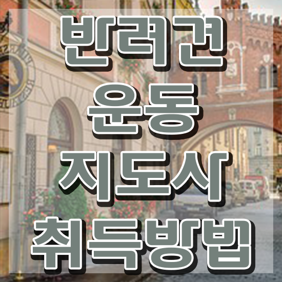  동물보건사 자격증 , 반려견운동지도사자격증 독학으로 취득했던 후기