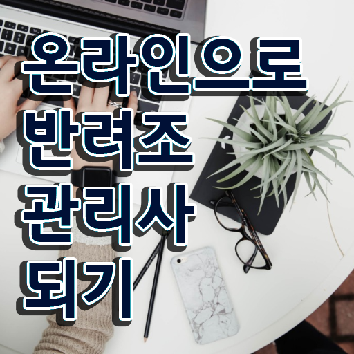  앵무새 , 반려조관리사 자격증 합격한 전략 요약해봤어요