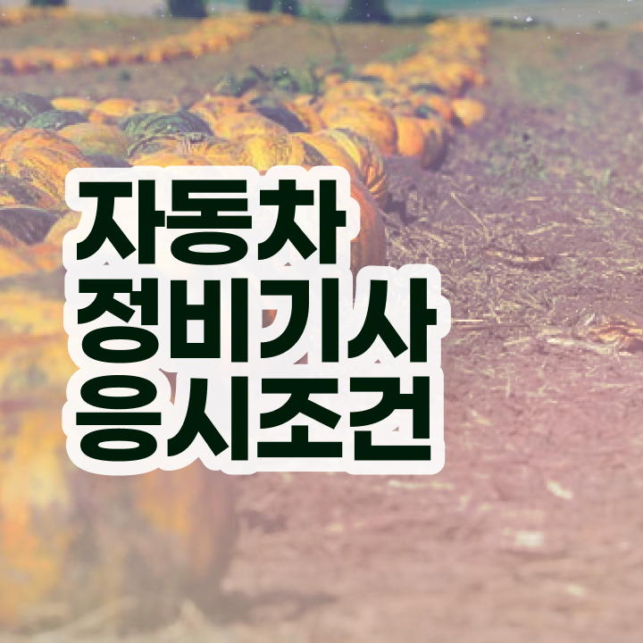  자동차정비기사 자격증 자동차정비기사 취득자격 독학으로 간편하게 성공한 후기
