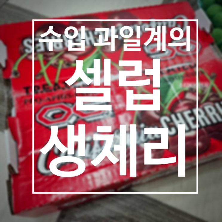  생체리 효능과 부작용 가격 및 보관법