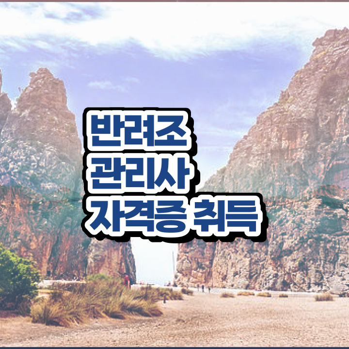  퀘이커 앵무새 가격 , 반려조관리사 자격증 20일 만에 취득한 정보 요점정리