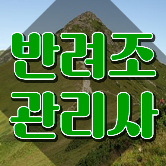  말하는 앵무새 카페 , 반려조관리사 자격증 합격한 비법 확인해보세요