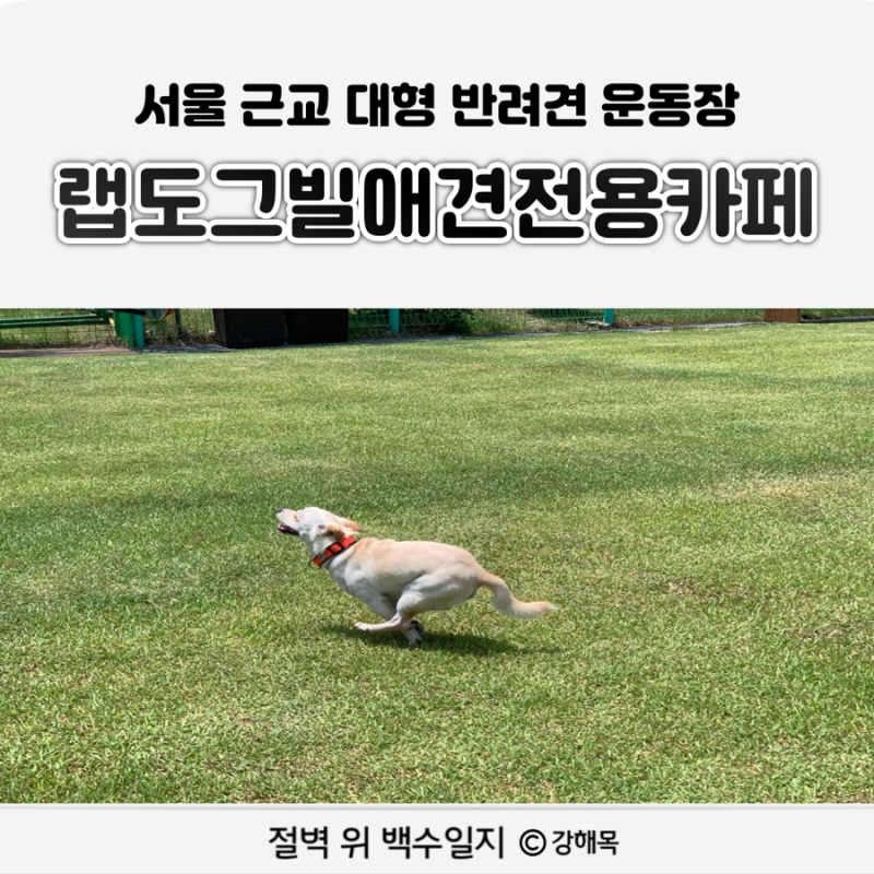 사진 7