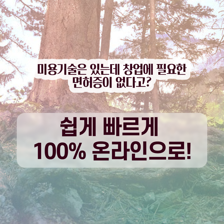 미용사 면허증 발급 , 가장 쉽게 미용면허증 취득하고 취업한 방법 요점정리