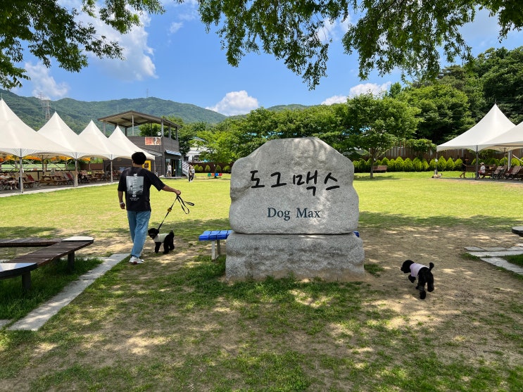  남양주 애견운동장 도그맥스 방문 솔직 후기