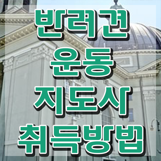  반려견운동지도사 상담사 , 인강으로 간편하게 반려견운동지도사 취득한 노하우