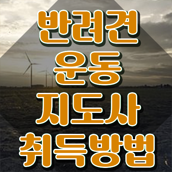 반려동물 등록 확인 반려견운동지도사자격증 합격 전략 및 무료수강 혜택
