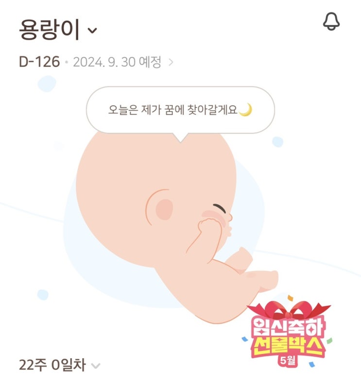 임신 22주차 | 철분제 + 돈시몬, 장롱면허 탈출 도전, 태동, 스니글라르 아기침대 당근 임신 22주차 | 철분제 + 돈시몬, 장롱면허 탈출 도전, 태동, 스니글라르 아기침대 당근