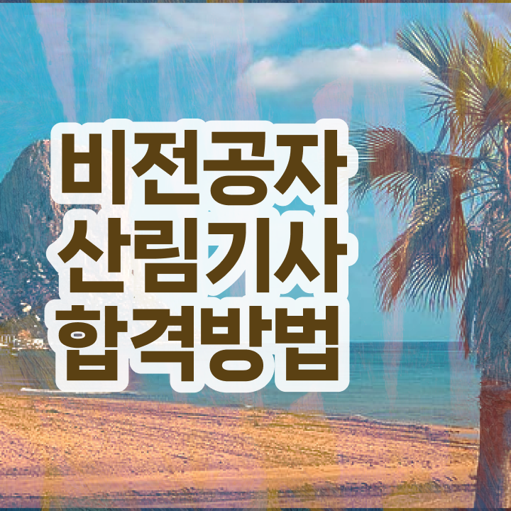  산림기사 책 이미지 산림기사 취득자격 학점은행제로 반 년만에 끝낸 후기