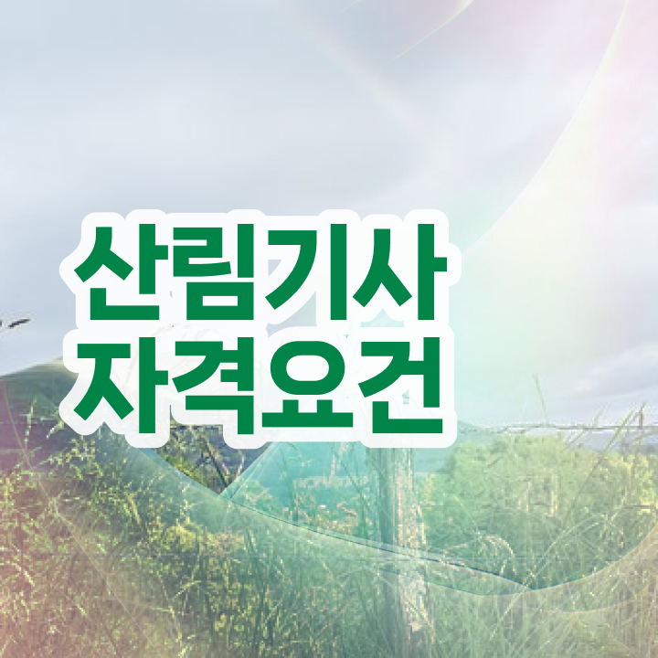  산림기사 전망 산림기사 응시조건 집에서 온라인으로 1학기 만에 준비한 방법