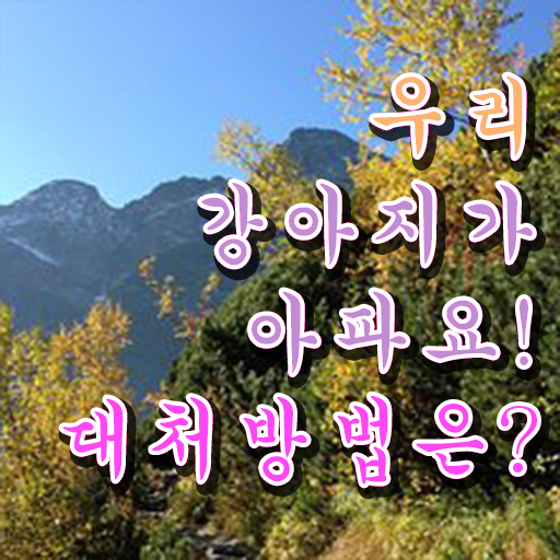  반려동물실비보험 , 반려동물관리사 자격증 한달 만에 학습한 후기 및 취업