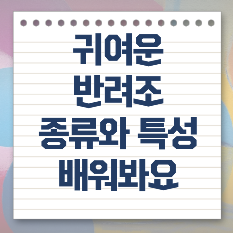  왕관앵무새 분양 , 반려조관리사 자격증 1달 만에 합격한 후기 짚어드려요