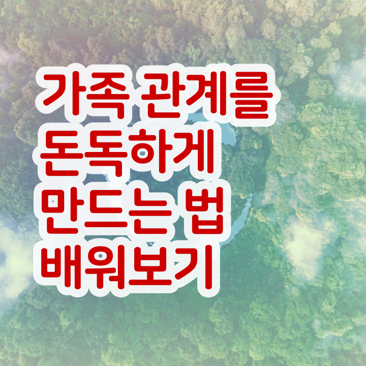  가족상담 이론 , 가족심리상담사 자격증 합격한 전략 짚어드려요 정리