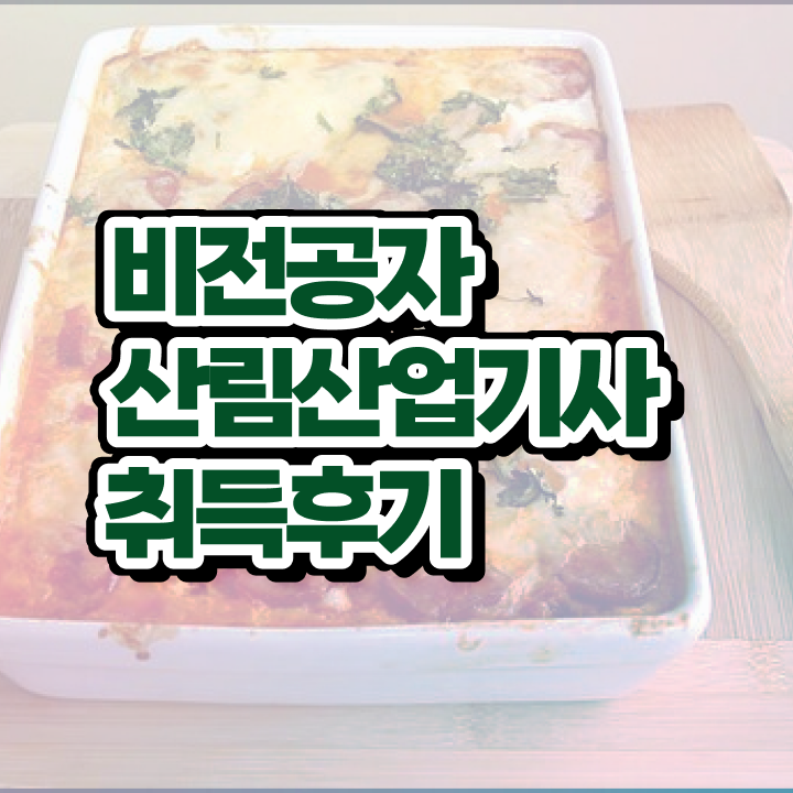  산림산업기사 필기 산림산업기사 취득자격 인강으로 4달만에 준비한 비법