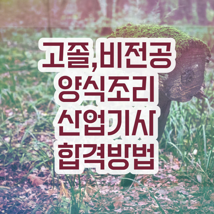  양식조리산업기사 직업 양식조리산업기사 시험자격 온라인으로 5개월 만에 완료한 비법