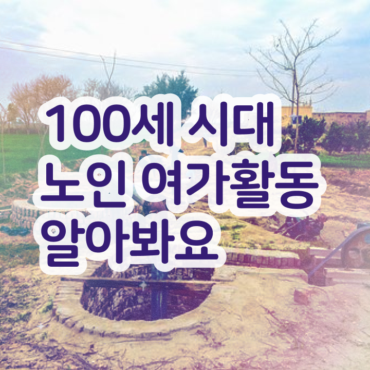  노인여가활동지도사 필기응시자격 , 노인여가활동지도사자격증 동영상으로 합격 후기