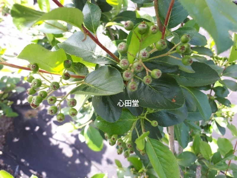 당재골 사진 5
