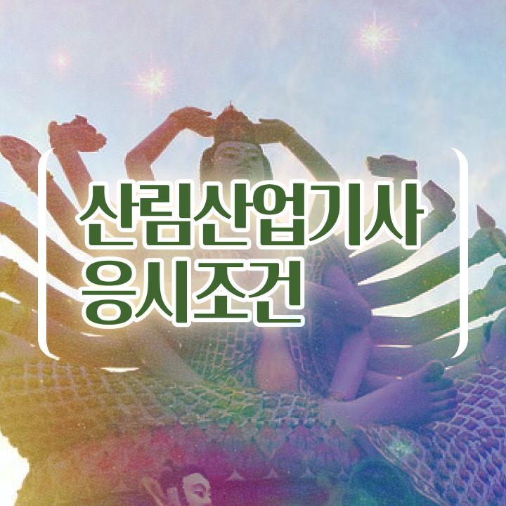  산림산업기사 자격 요건 산림산업기사 시험응시자격 온라인 수업으로 4달만에 준비한 전략