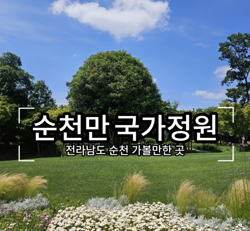[순천] 가볼만한 곳 순천만국가정원 지도 입장료 주차장 스카이큐브 카페 숙소 추천