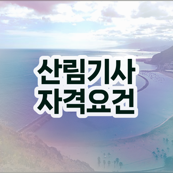  산림기사 시험일정 산림기사 취득자격 인강으로 빠르게 끝낸 후기