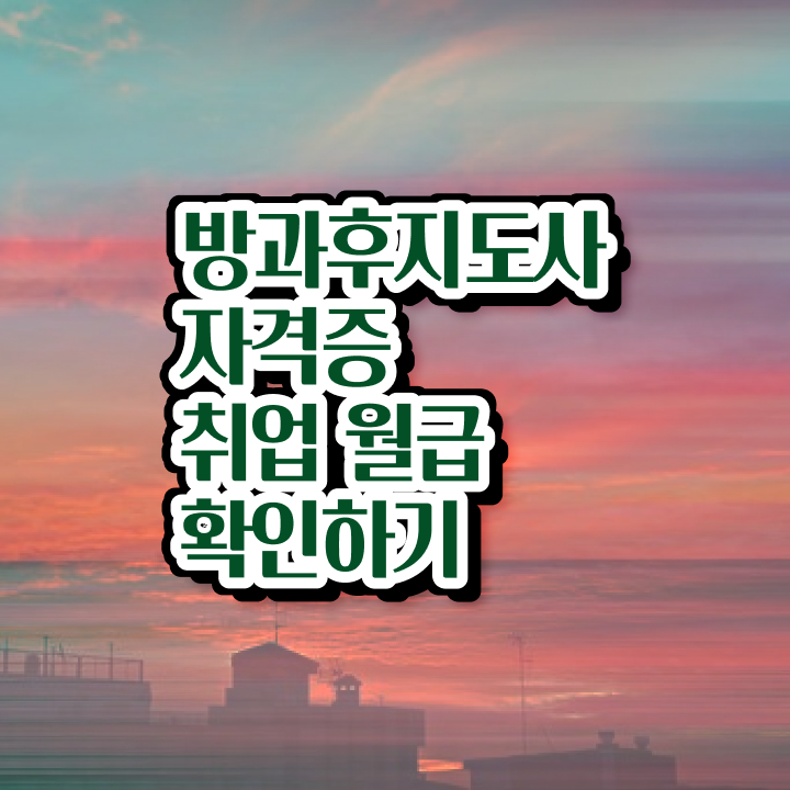  방과후강사수입 , 방과후지도사 동영상으로 취득한 과정