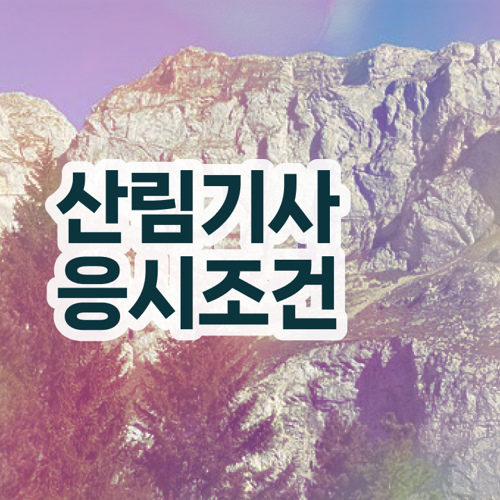  산림기사 필기공부 산림기사 응시조건 온라인으로 15주 동안 준비한 후기