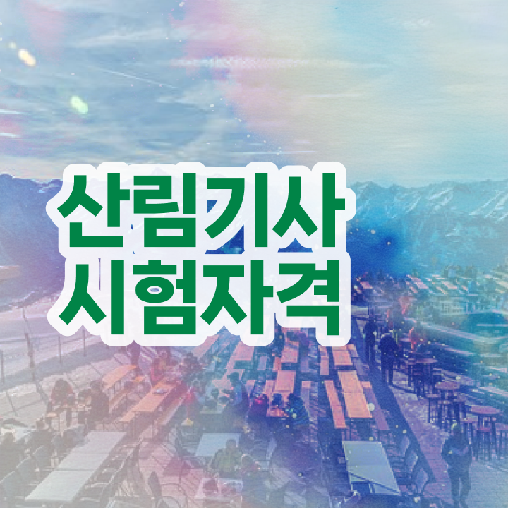  산림기사 자격요건 산림기사 시험응시자격 온라인 과정으로 5개월 만에 준비한 노하우