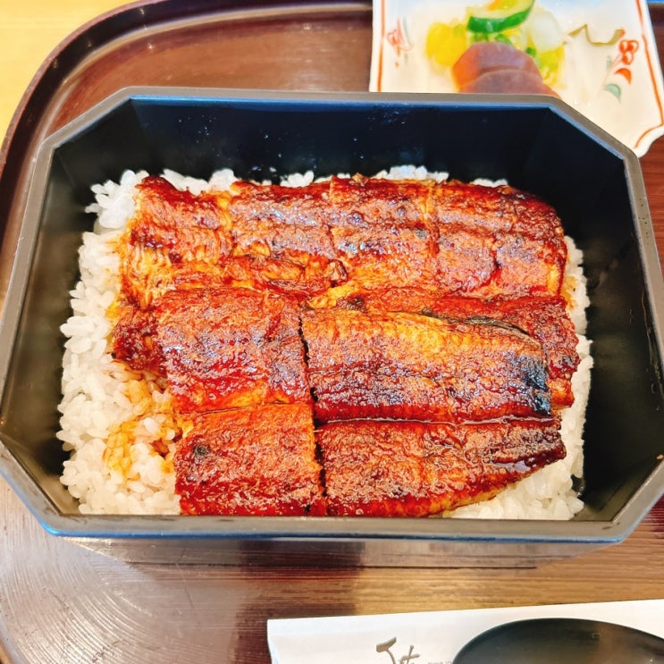  도쿄 태교여행 4일 차 : 긴자 장어덮밥 맛집 히츠마부시 나고야 솔직 후기