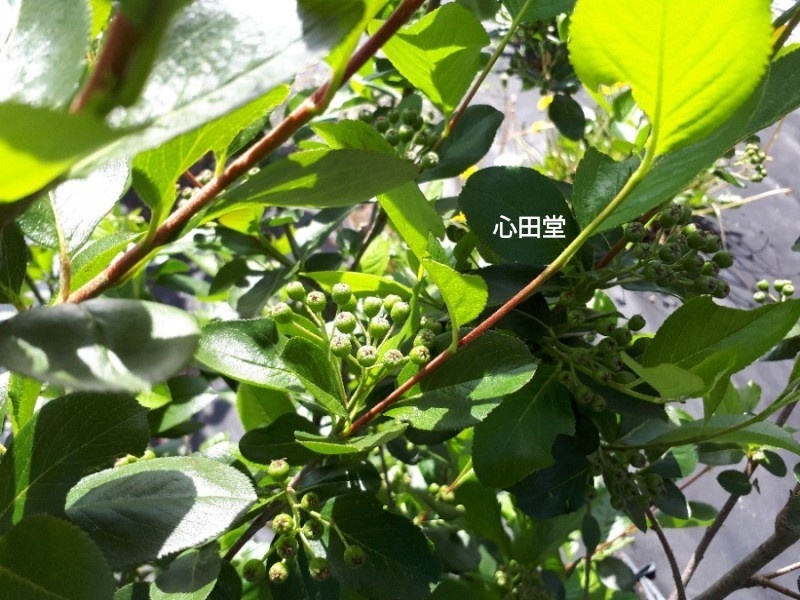 당재골 사진 4