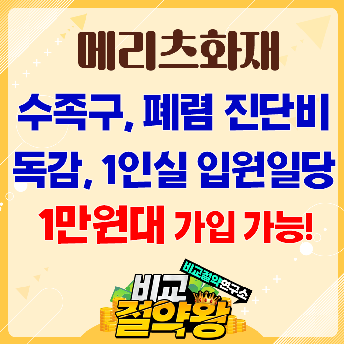  메리츠 수족구 폐렴진단비 독감 1인실입원 보험 1만원대 가입 가능하네요