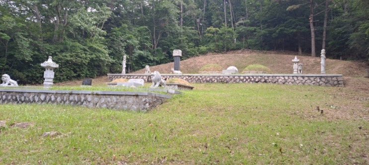 양산시 동면 법기리 봉분연간관리서비스 봉분 벌목,전지 및 잔디씨파종서비스("양산벌초대행")