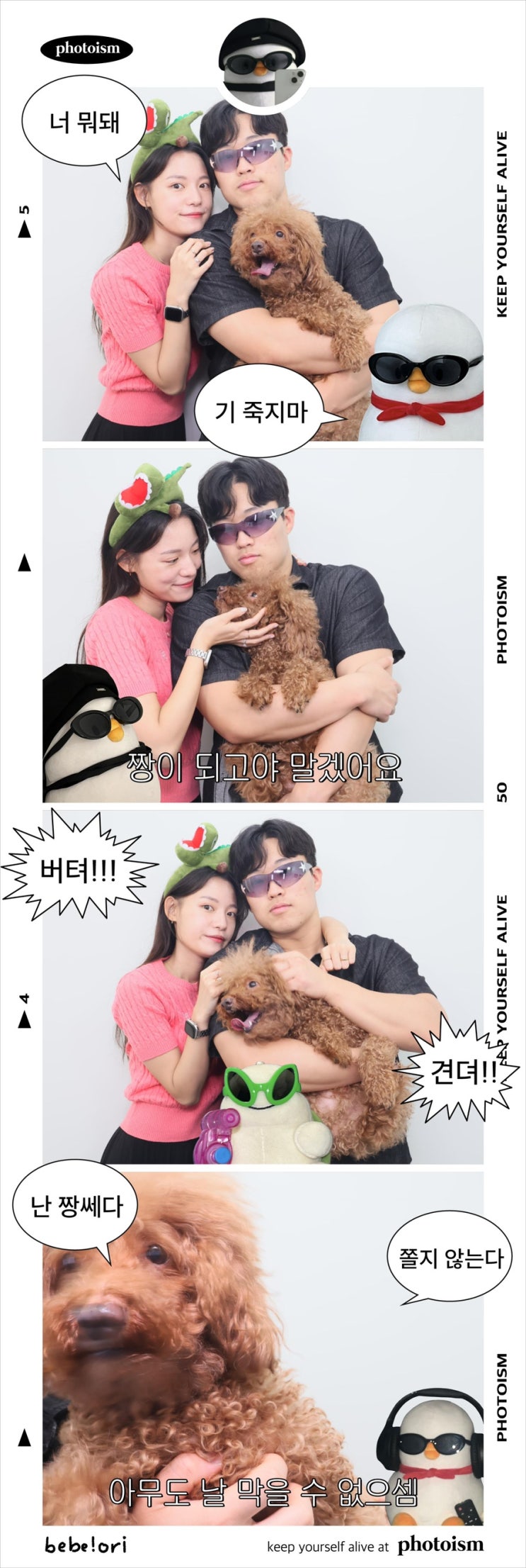  [인천셀프사진관] 애견동반 가능한 포토이즘박스 신포점 데이트 코스