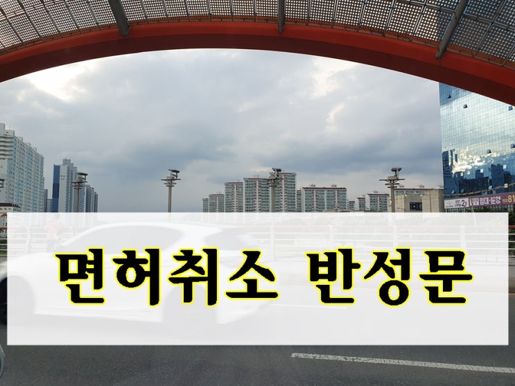  면허취소 반성문 음주운전 초범 재범 구제 감경