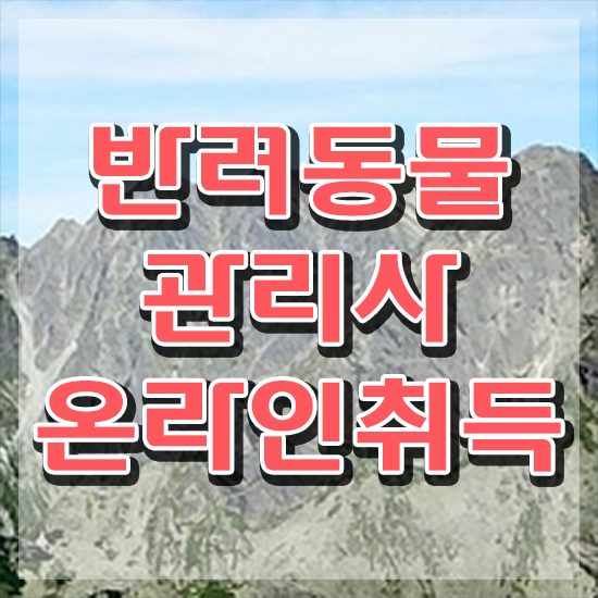  반려동물실비보험 , 반려동물관리사 자격증 15일 만에 취득한 노하우 정보 퍼펙트 요약