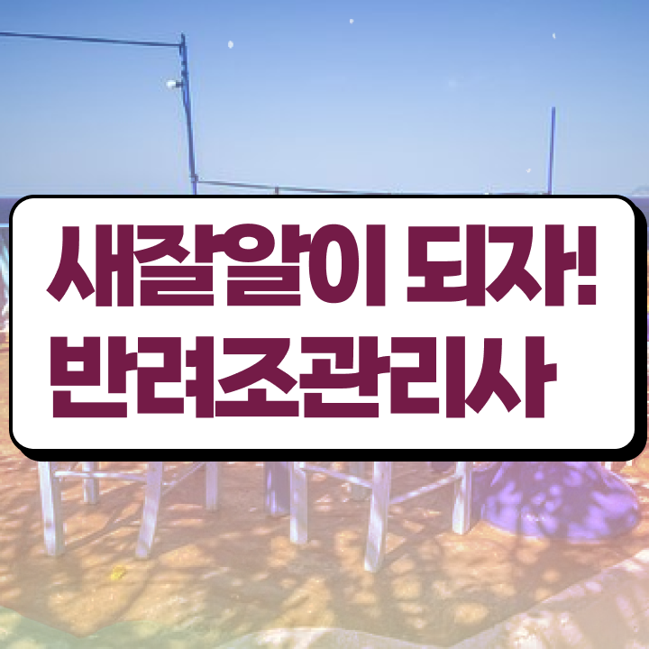  사랑앵무새수명 , 반려조관리사 자격증 비용없이 온라인으로 취득한 방법 핵심 정보 정리