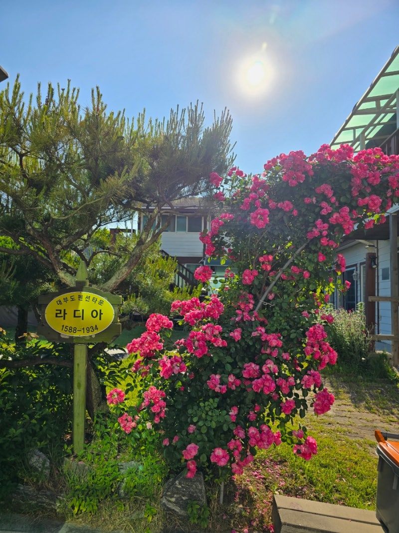 대부도 풀빌라 펜션 숙박 후기. 풀빌라 뜻. 동창생1박2일여행 : 네이버 블로그