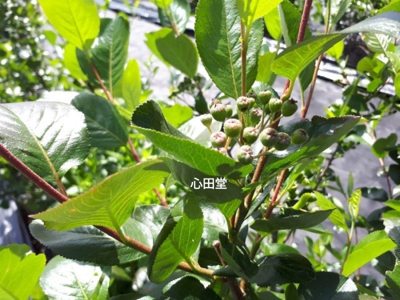 당재골 사진 6