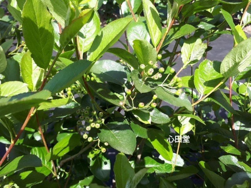 당재골 사진 2
