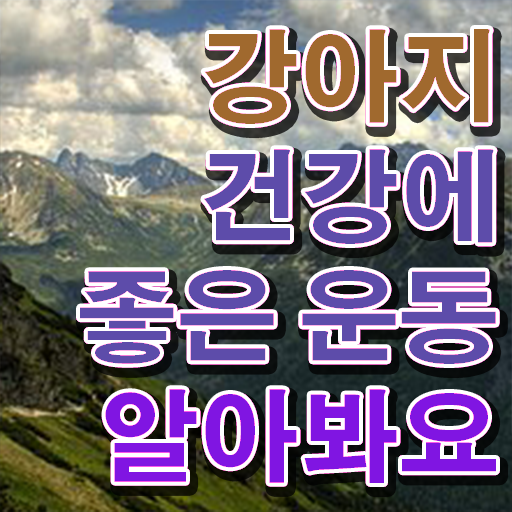  부산 강아지 운동장 , 반려견운동지도사자격증 취득한 노하우 및 교육기관