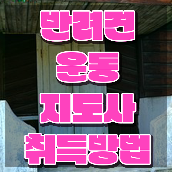  반려견운동지도사 인증 , 인강만 듣고 반려견운동지도사자격증 취득한 방법