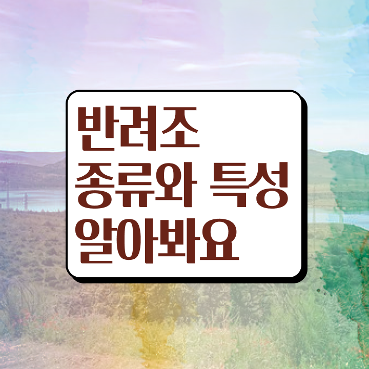  퀘이커 앵무새 수명 , 반려조관리사 자격증 15일 만에 취득한 노하우 여기서 확인하세요
