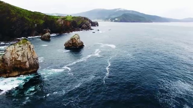  40대여성자격증 , 타로상담전문가 준비한 팁