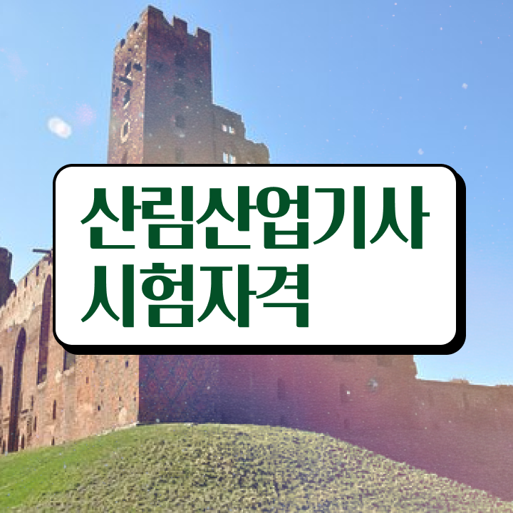  산림산업기사 필답 산림산업기사 응시조건 독학으로 단기간에 성공한 팁
