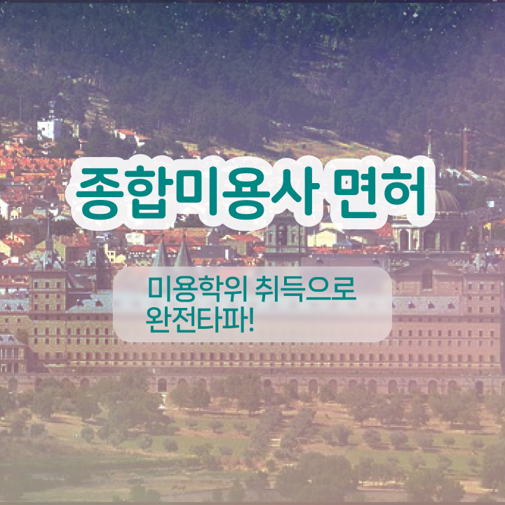  눈썹문신후술 , 반영구학원 오픈 할 때, 취득해야 하는 자격증은? 온라인 교육원 통해서 미용사자격증 쉽고 빠르게