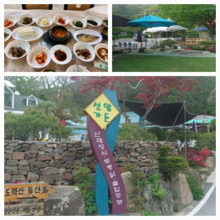<b>백반기행</b> 단양 산채정식 식당... 선암가든 <b>장희진</b> 배우 250회